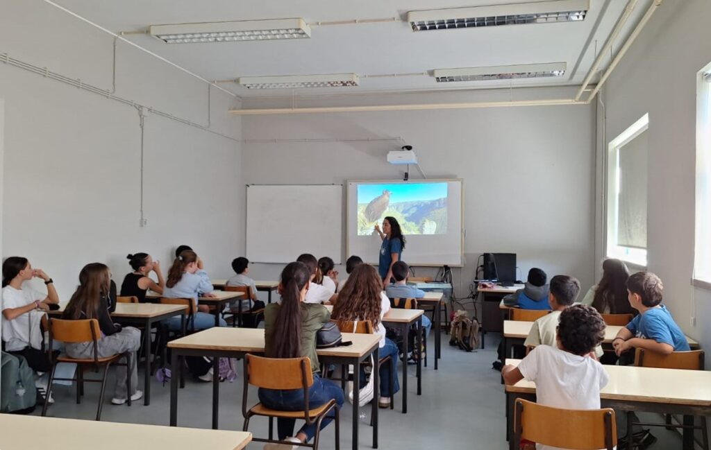 Environmental education activities at the Guerra Junqueiro School Group ©Palombar