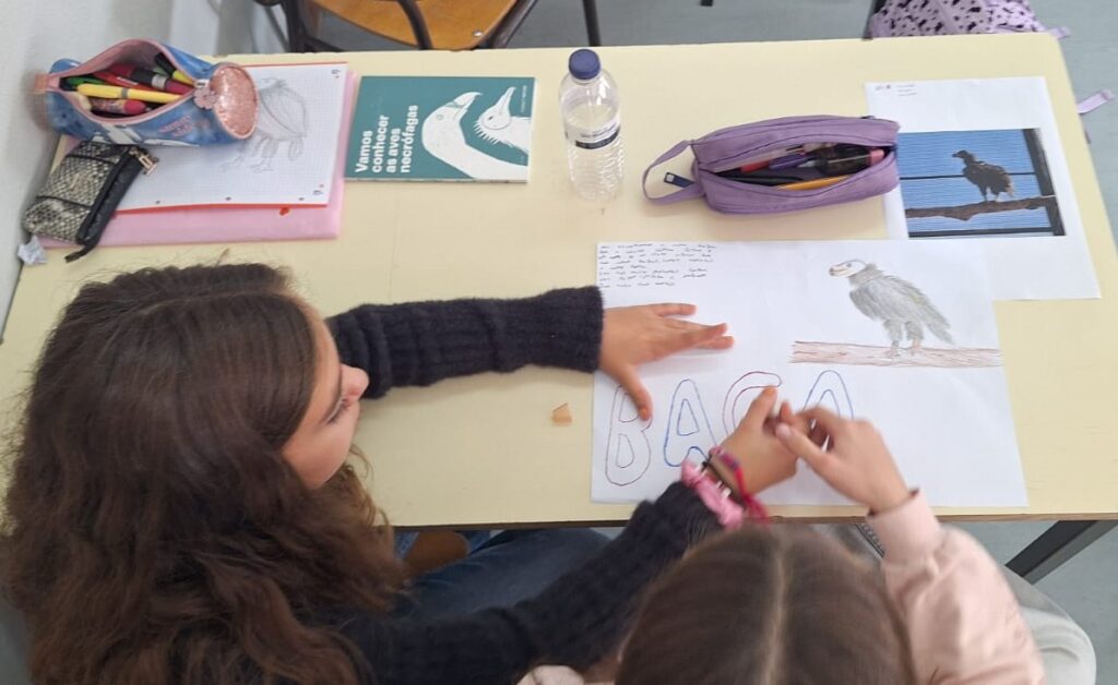 Students choose the names of the Cinereous Vultures ©Palombar