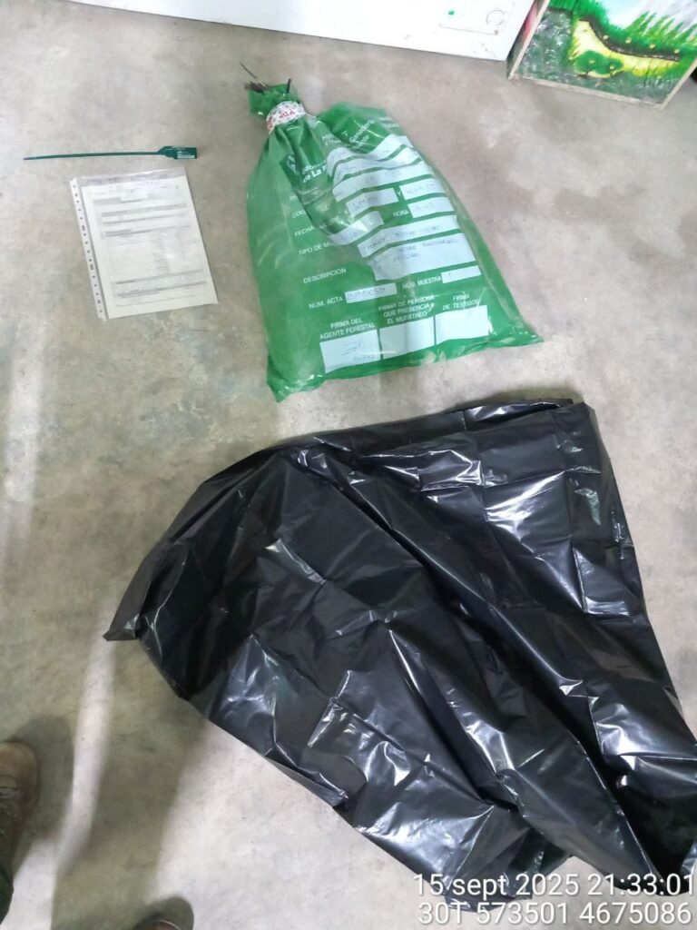 evidence bags