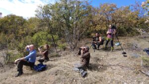five people looking into binoculars in the woods