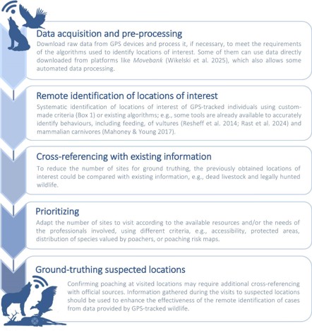 Descriptive slide of the protocol to use GPS data as early sentinels for poaching events