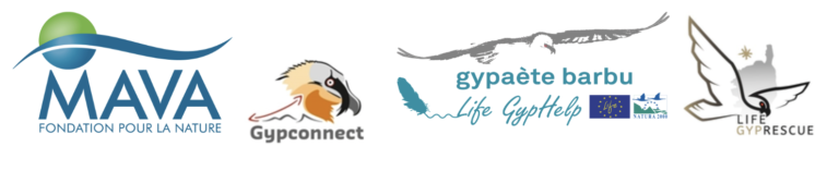 IBM Funding partners