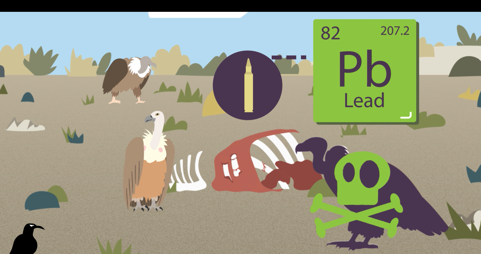 screenshot form the animation video produced for LIFE SUPport. Two griffon vultures near a carcass contaminated with lead. Lead chemical symbol. One vulture dead