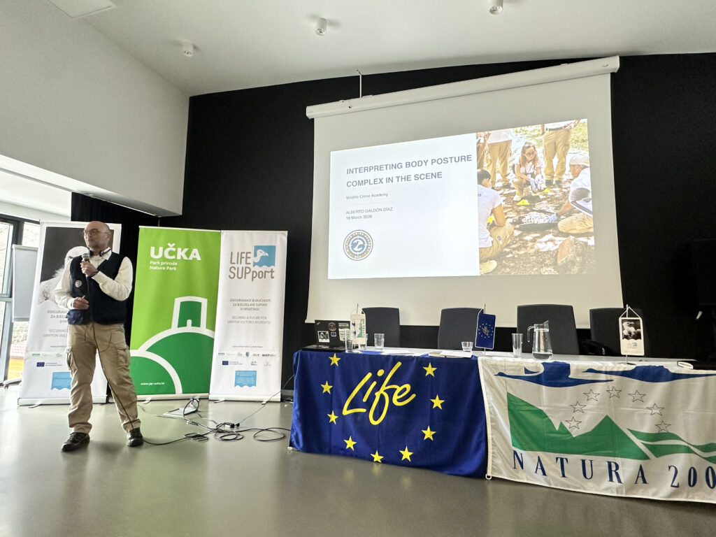 a man presenting at a workshop