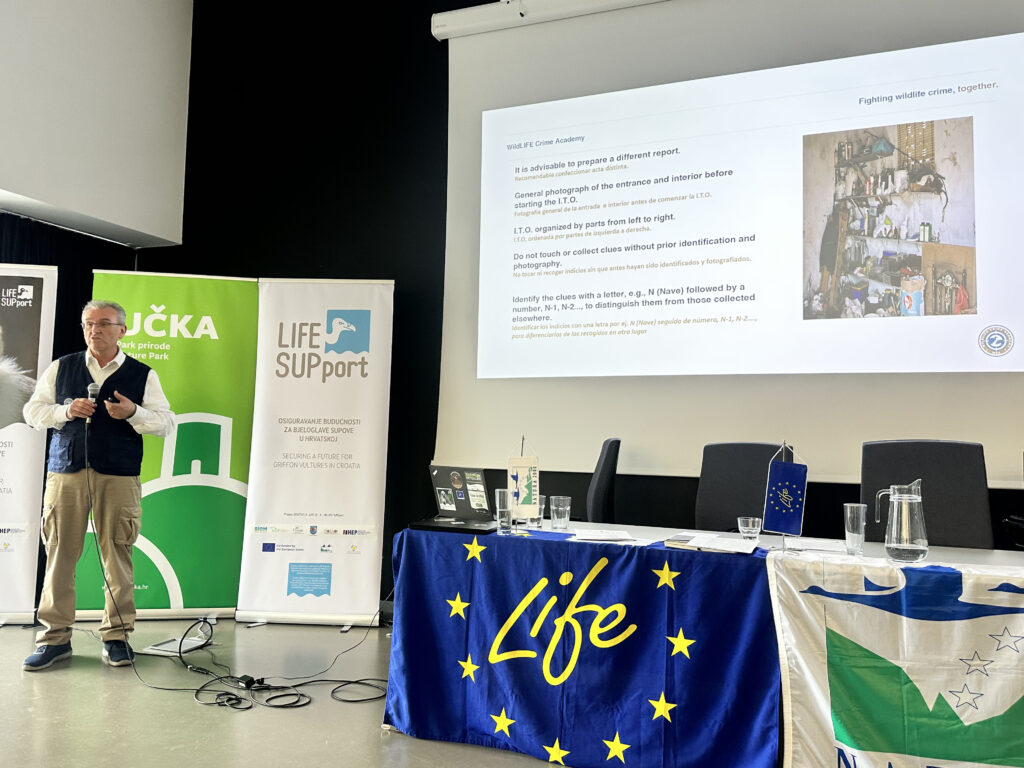 a man presenting at a workshop