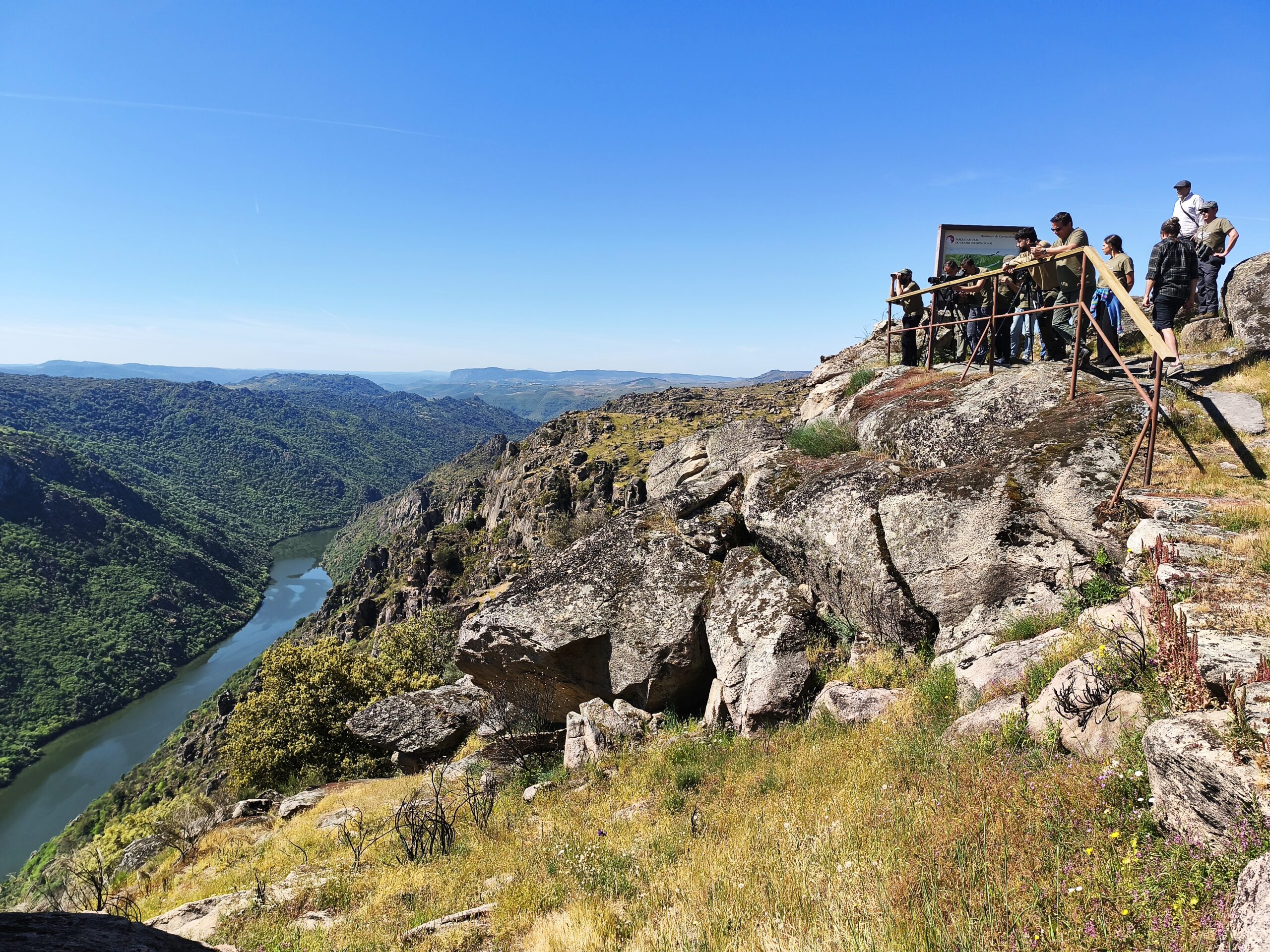 LIFE Aegypius Return visit to the Carrascalinho viewpoint, Douro Internacional Nature Park ©VCF