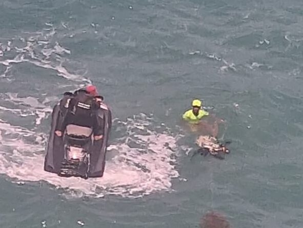people retreiving the dead vulture from the sea