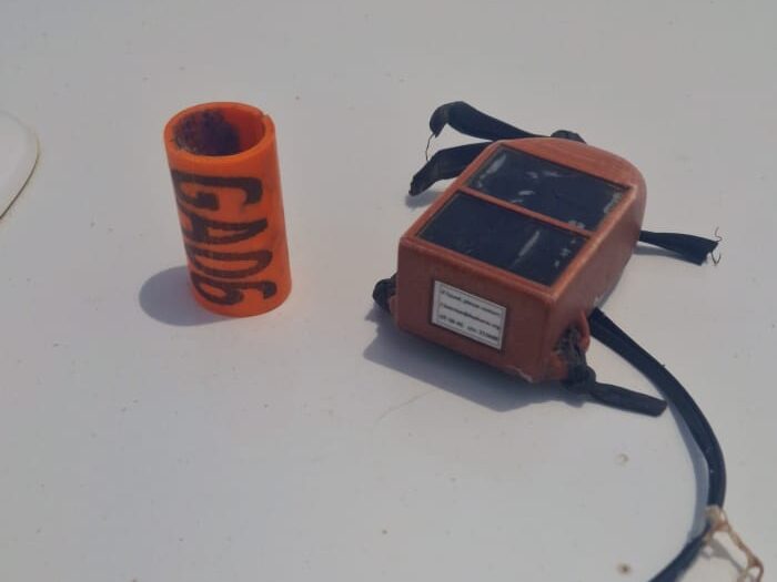 GPS transmitter and identification ring of a dead vulture on a table